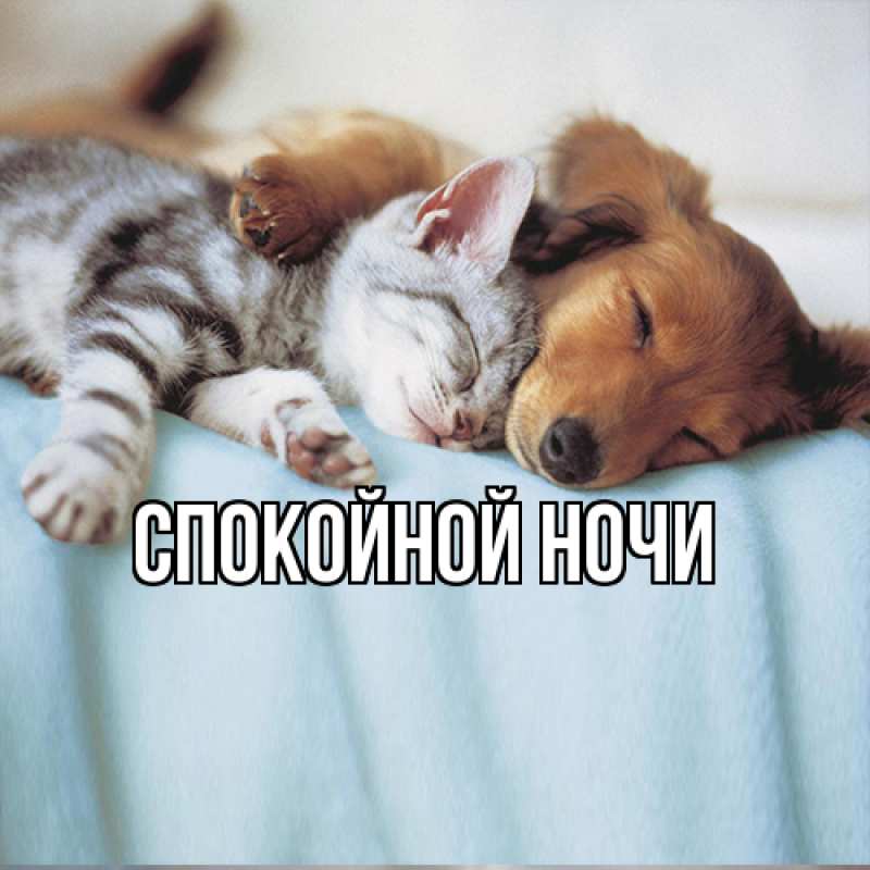 Картинка Спокойной ночи, 