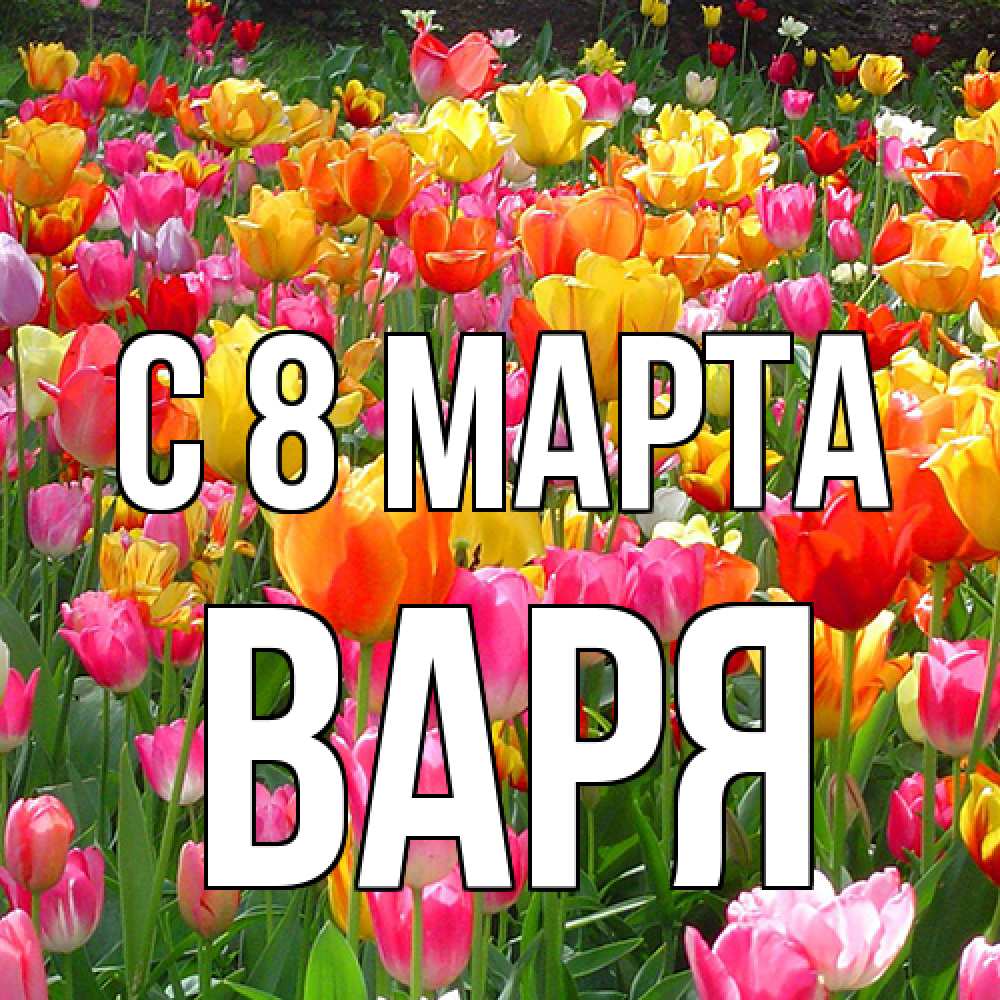 Открытка на каждый день с именем, Варя C 8 МАРТА на международный женский день Прикольная открытка с пожеланием онлайн скачать бесплатно 