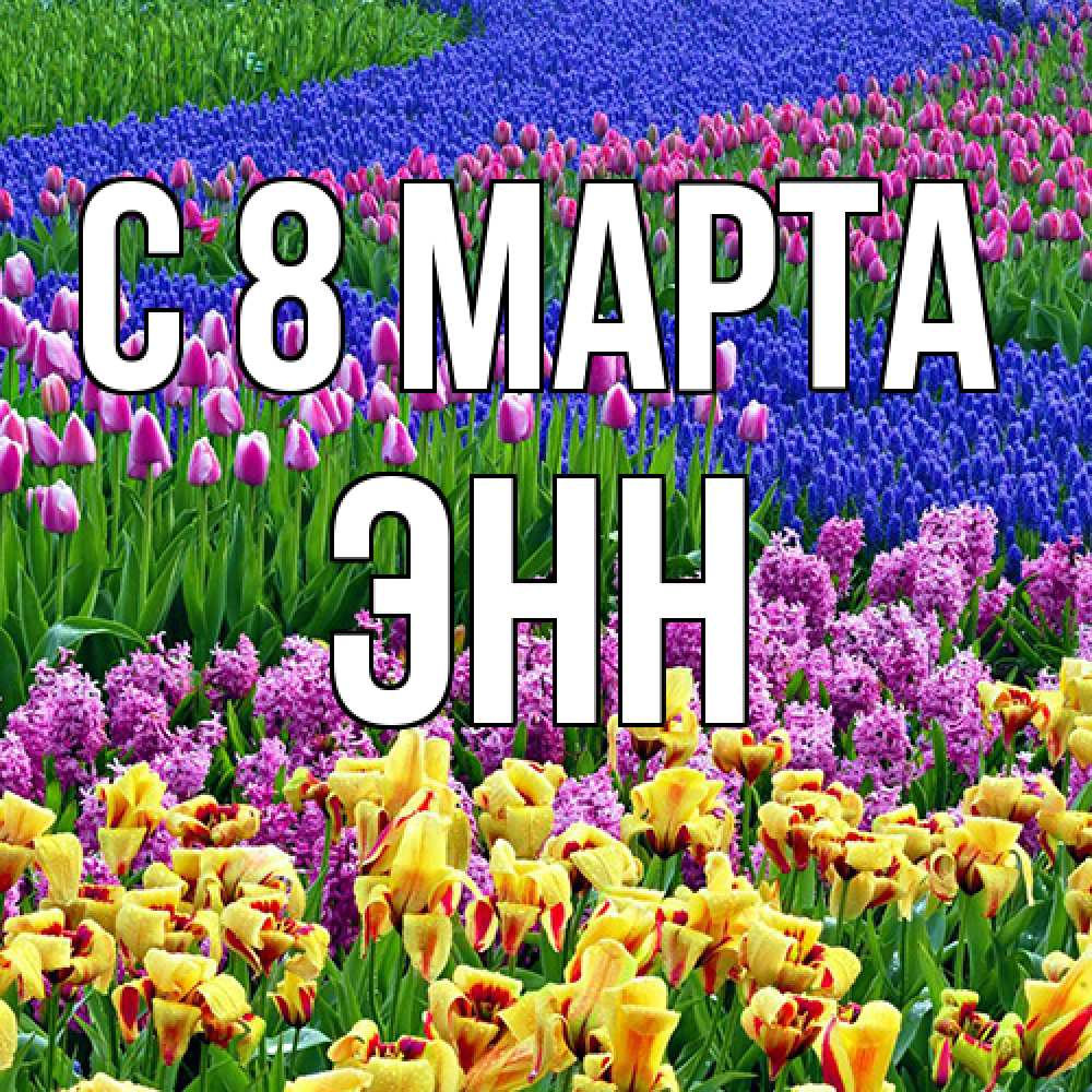 Открытка на каждый день с именем, Энн C 8 МАРТА цветы Прикольная открытка с пожеланием онлайн скачать бесплатно 