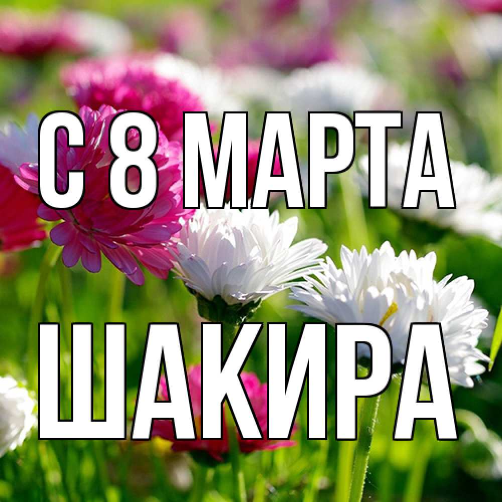 Открытка на каждый день с именем, Шакира C 8 МАРТА международный женский день 1 Прикольная открытка с пожеланием онлайн скачать бесплатно 