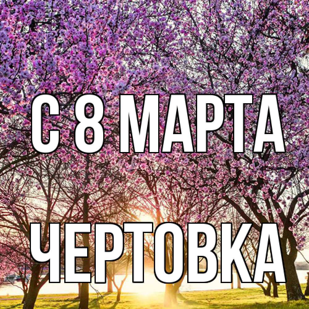 Открытка на каждый день с именем, Чертовка C 8 МАРТА международный женский день Прикольная открытка с пожеланием онлайн скачать бесплатно 