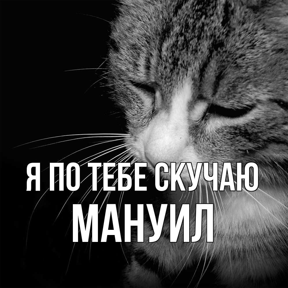 Открытка на каждый день с именем, Мануил Я по тебе скучаю мне скучно Прикольная открытка с пожеланием онлайн скачать бесплатно 