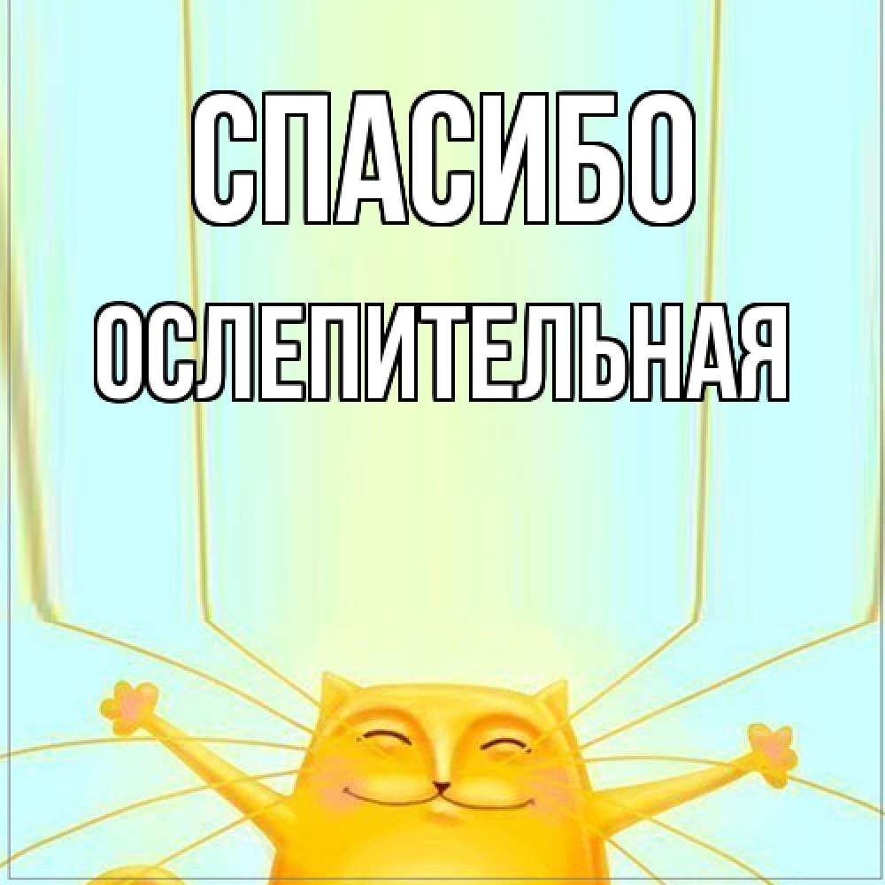 Открытка на каждый день с именем, Ослепительная Спасибо кот с усами благодарит Прикольная открытка с пожеланием онлайн скачать бесплатно 