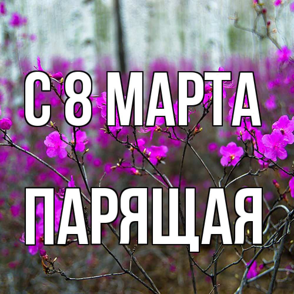 Открытка на каждый день с именем, Парящая C 8 МАРТА дикие цветы Прикольная открытка с пожеланием онлайн скачать бесплатно 