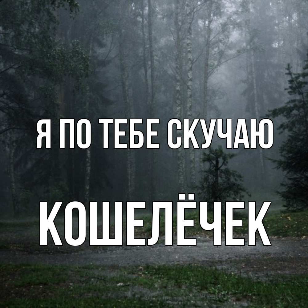 Открытка на каждый день с именем, кошелёчек Я по тебе скучаю одна и плохо мне Прикольная открытка с пожеланием онлайн скачать бесплатно 