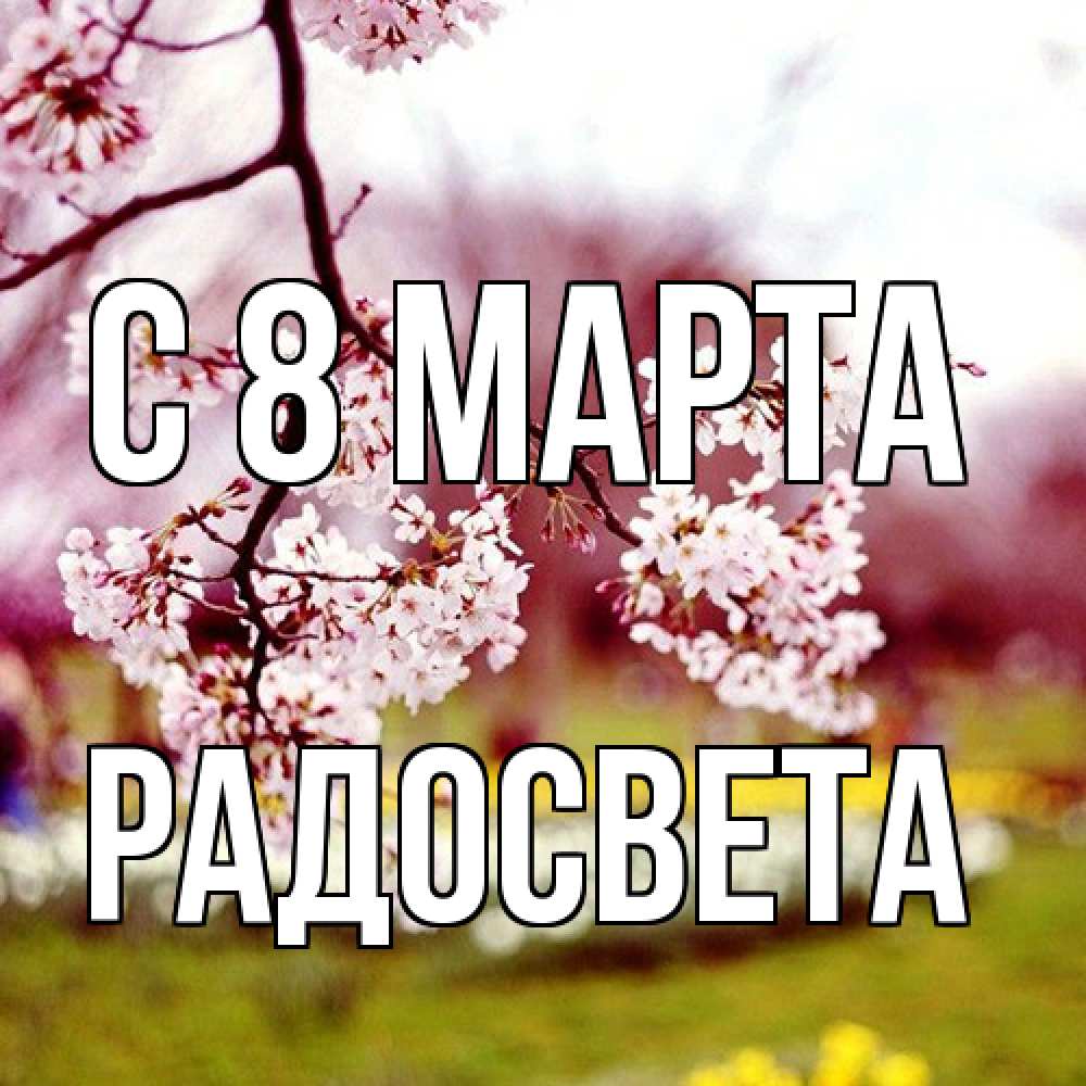 Открытка на каждый день с именем, Радосвета C 8 МАРТА яблоня Прикольная открытка с пожеланием онлайн скачать бесплатно 