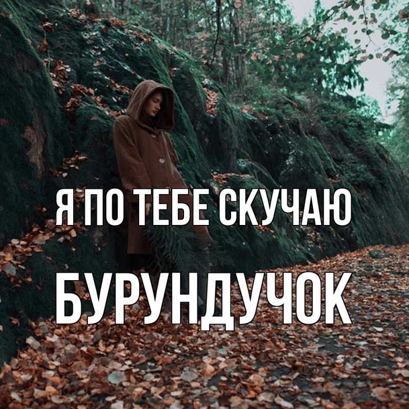 Картинка Я по тебе скучаю, бурундучок