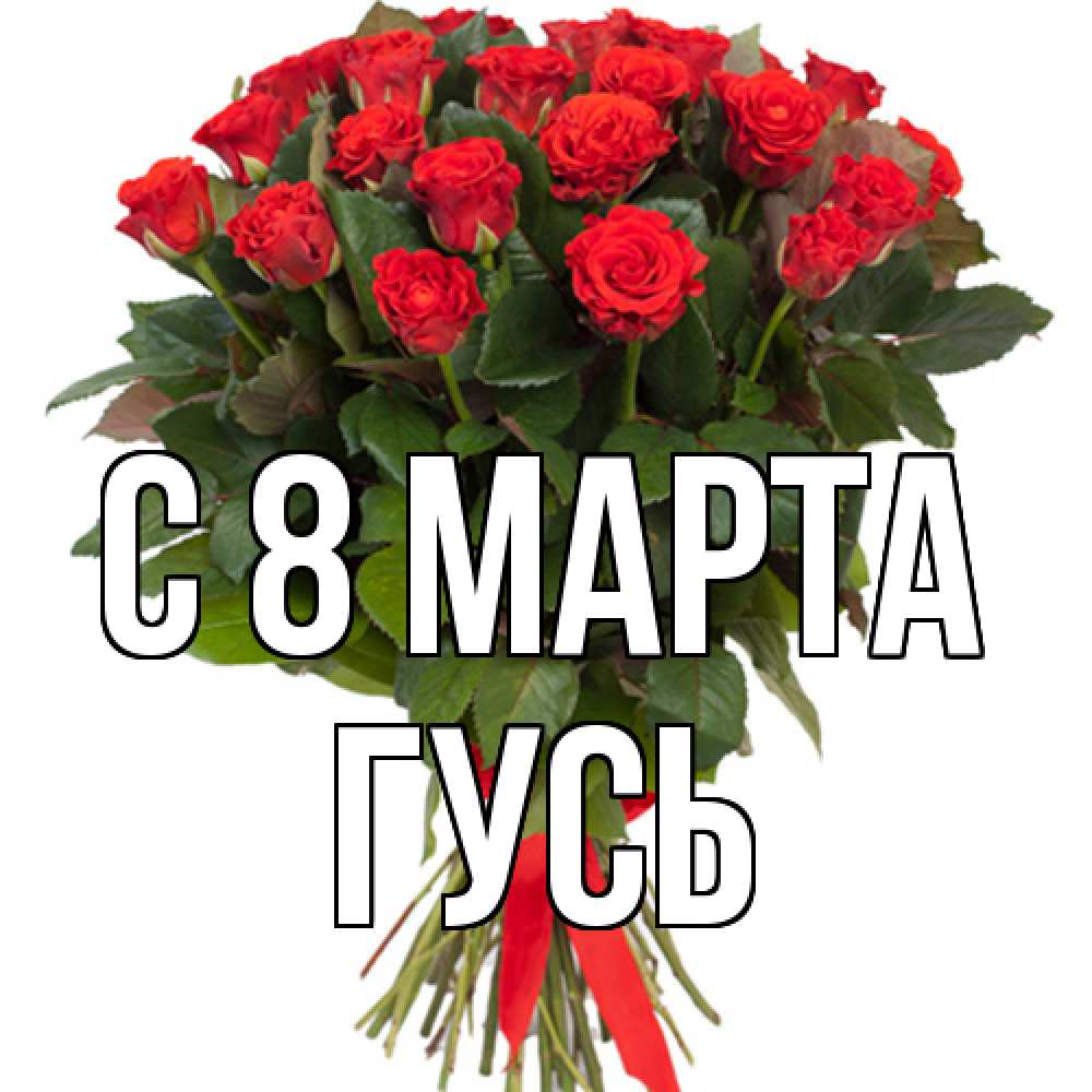Открытка на каждый день с именем, Гусь C 8 МАРТА цветы на 8 марта 1 Прикольная открытка с пожеланием онлайн скачать бесплатно 