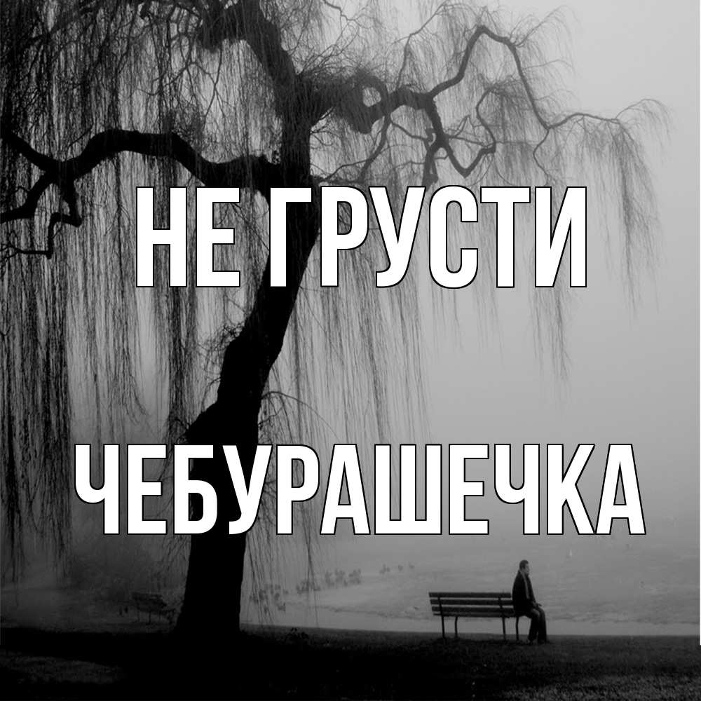 Открытка на каждый день с именем, Чебурашечка Не грусти висящие ветки дерева и лавочка под деревом Прикольная открытка с пожеланием онлайн скачать бесплатно 