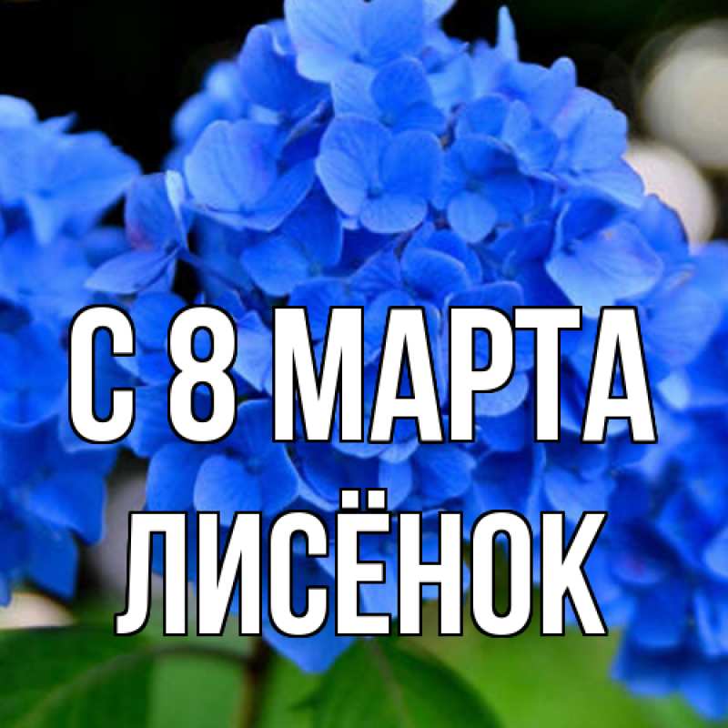 Картинка C 8 МАРТА, Лисёнок