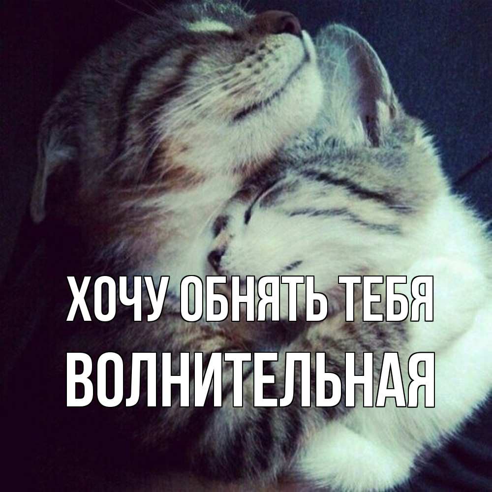 Открытка на каждый день с именем, волнительная Хочу обнять тебя полосатики Прикольная открытка с пожеланием онлайн скачать бесплатно 