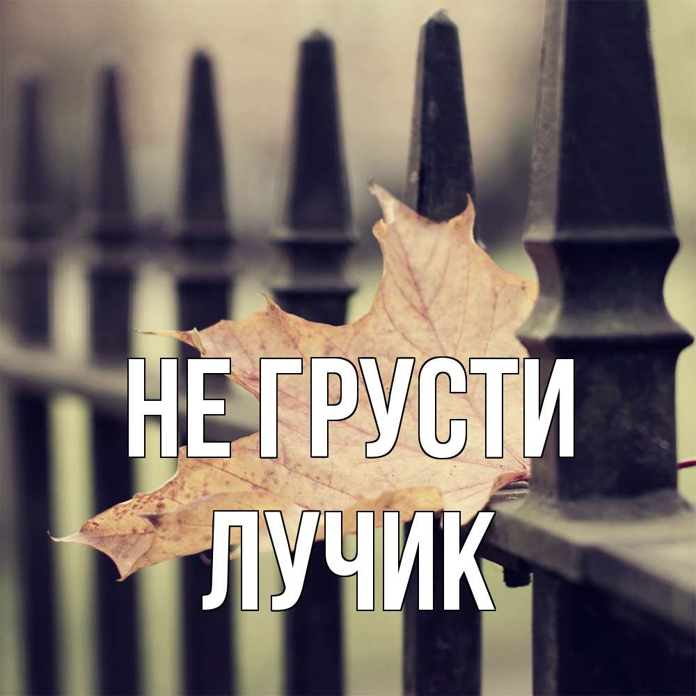 Открытка на каждый день с именем, Лучик Не грусти лист клена Прикольная открытка с пожеланием онлайн скачать бесплатно 