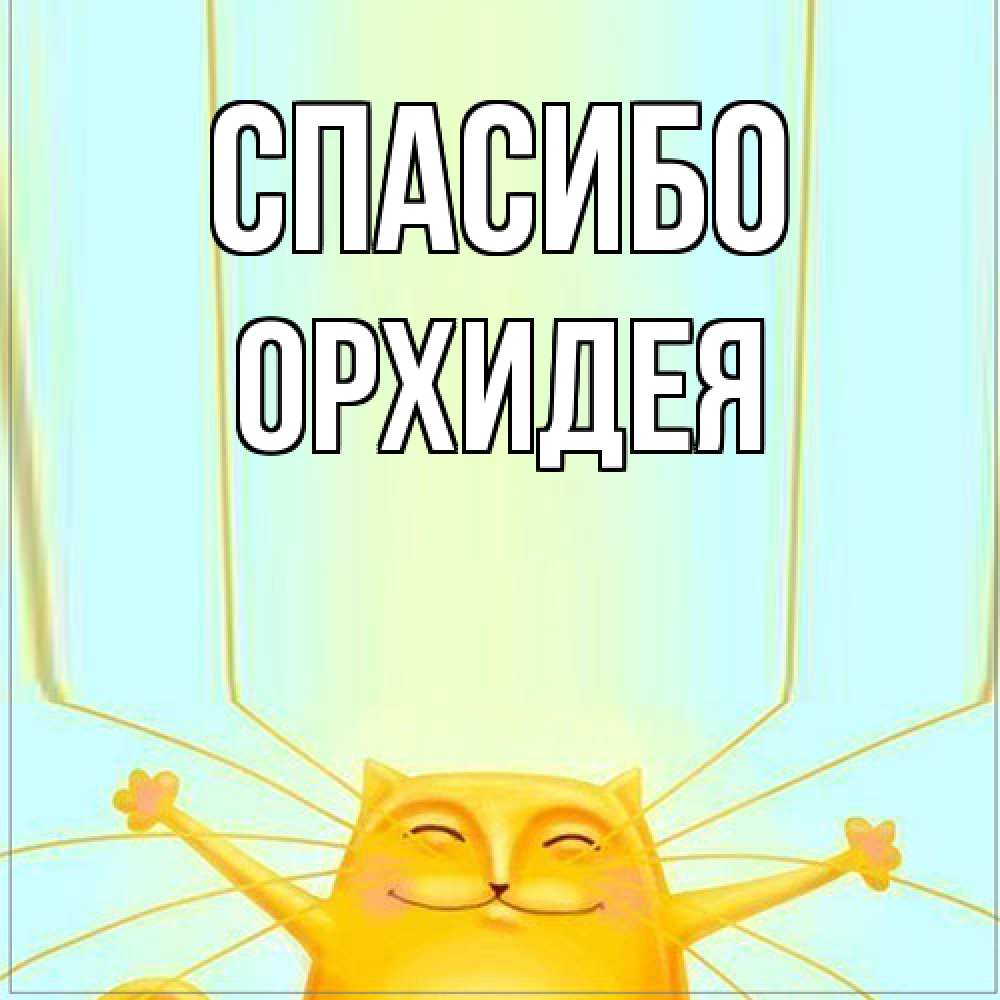 Открытка на каждый день с именем, Орхидея Спасибо кот с усами благодарит Прикольная открытка с пожеланием онлайн скачать бесплатно 