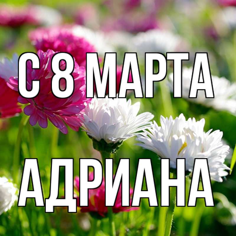 Картинка C 8 МАРТА, Адриана