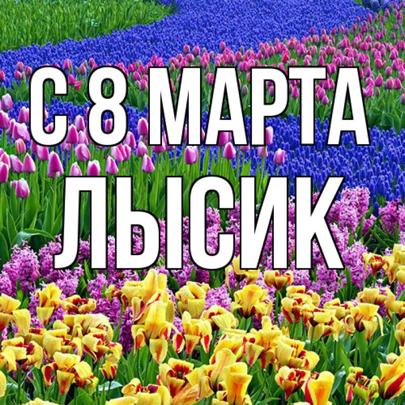 Картинка C 8 МАРТА, Лысик