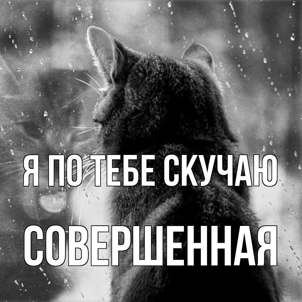 Открытка на каждый день с именем, Совершенная Я по тебе скучаю скорее ко мне приходи 1 Прикольная открытка с пожеланием онлайн скачать бесплатно 