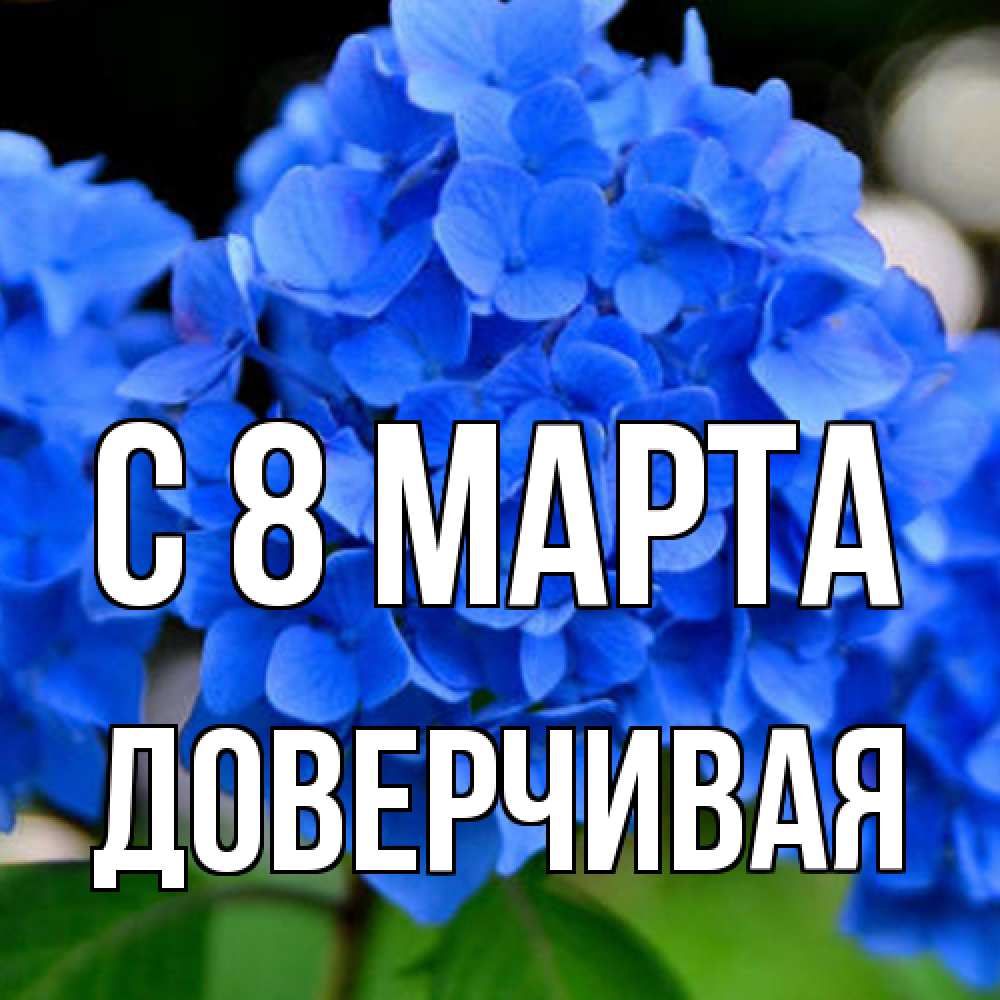 Открытка на каждый день с именем, Доверчивая C 8 МАРТА синие цветы Прикольная открытка с пожеланием онлайн скачать бесплатно 