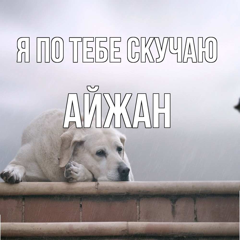 Открытка на каждый день с именем, Айжан Я по тебе скучаю ждет Прикольная открытка с пожеланием онлайн скачать бесплатно 