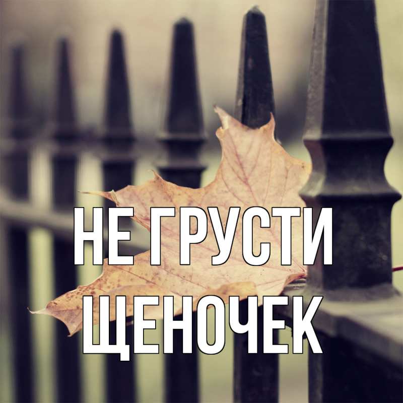 Картинка Не грусти, Щеночек