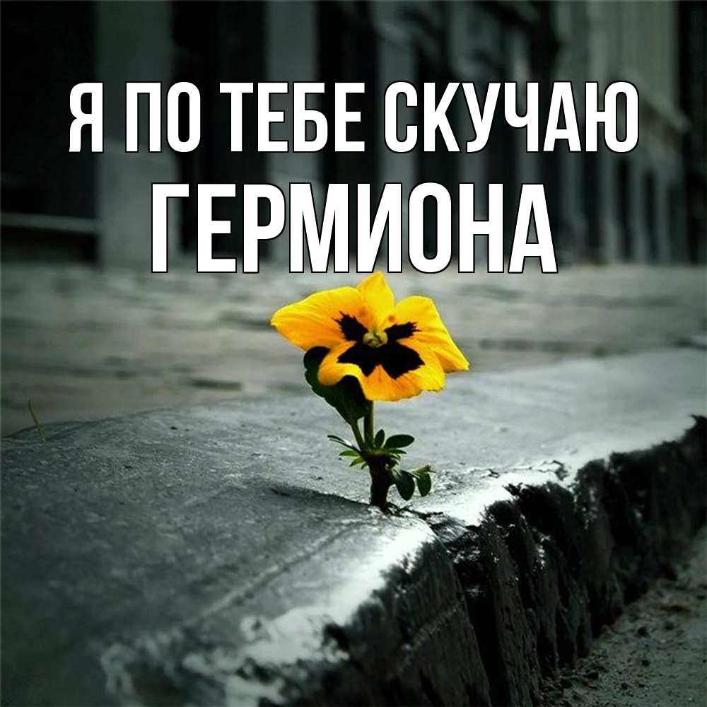Открытка на каждый день с именем, Гермиона Я по тебе скучаю надеюсь будет лучше Прикольная открытка с пожеланием онлайн скачать бесплатно 