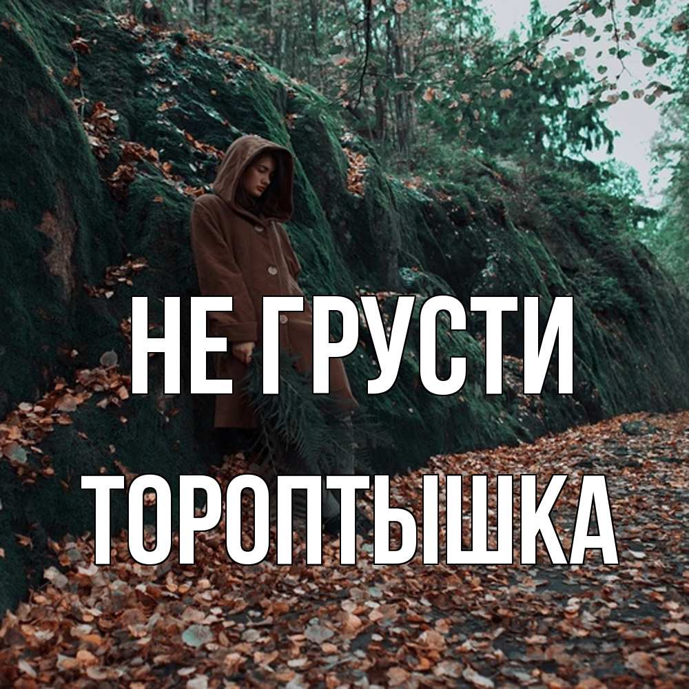 Открытка на каждый день с именем, Тороптышка Не грусти осенний лес Прикольная открытка с пожеланием онлайн скачать бесплатно 