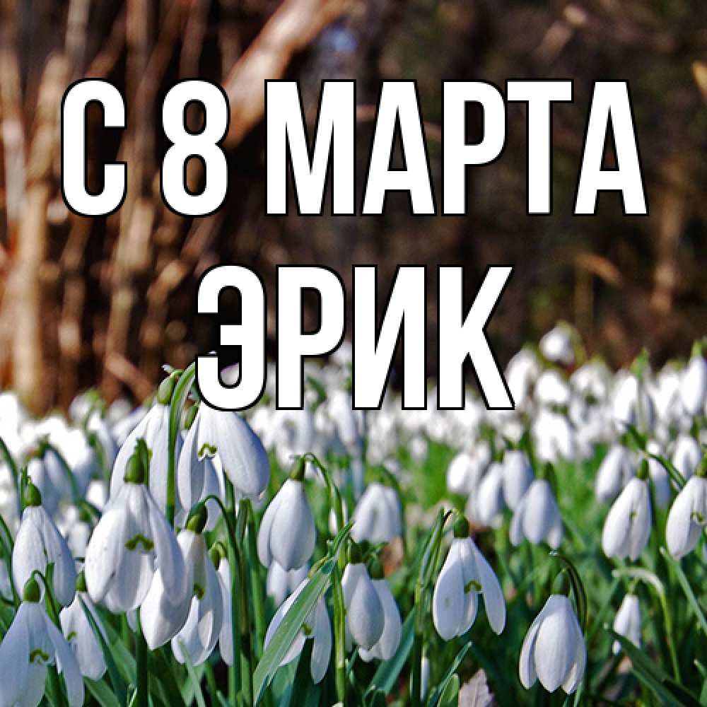 Открытка на каждый день с именем, Эрик C 8 МАРТА с подснежниками 1 Прикольная открытка с пожеланием онлайн скачать бесплатно 