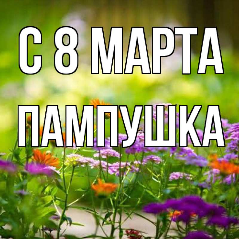 Картинка C 8 МАРТА, Пампушка