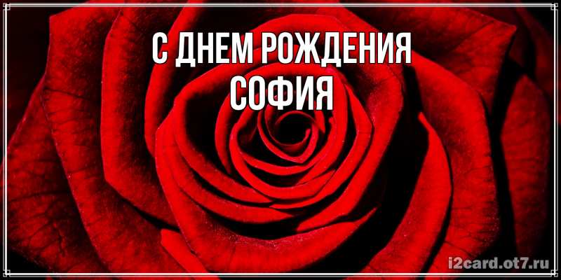 Картинка С днем рождения, София