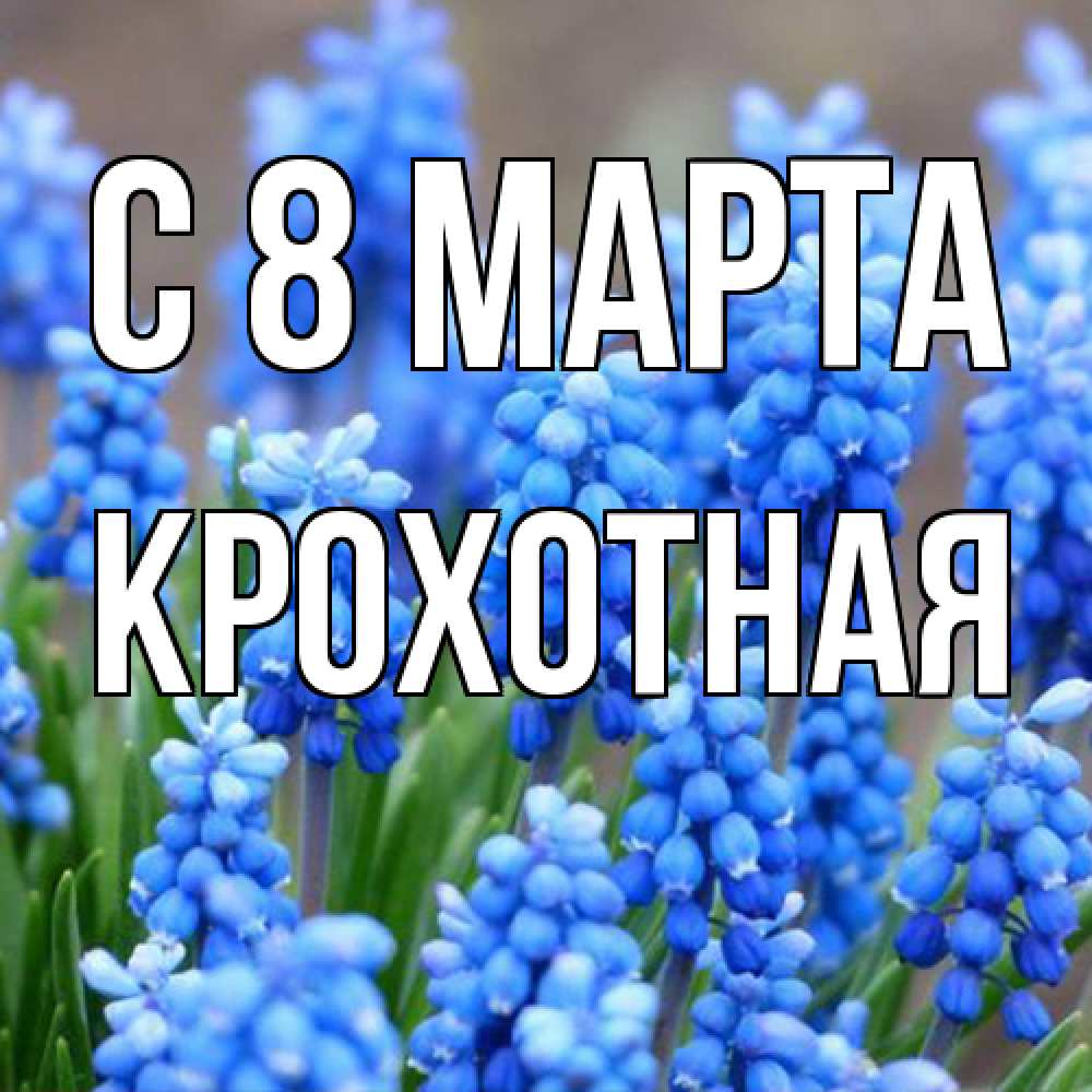 Открытка на каждый день с именем, Крохотная C 8 МАРТА Поздравительная открытка для женщин с цветами на праздничную дату Прикольная открытка с пожеланием онлайн скачать бесплатно 