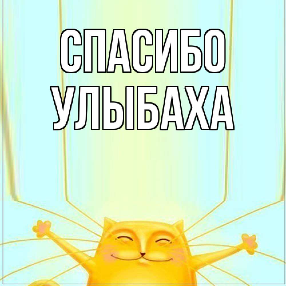 Открытка на каждый день с именем, Улыбаха Спасибо кот с усами благодарит Прикольная открытка с пожеланием онлайн скачать бесплатно 