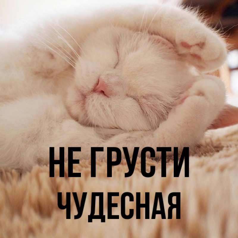 Картинка Не грусти, Чудесная