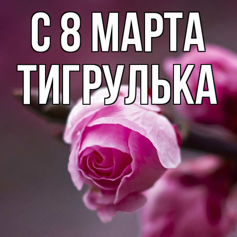 Открытка на каждый день с именем, тигрулька C 8 МАРТА весна Прикольная открытка с пожеланием онлайн скачать бесплатно 