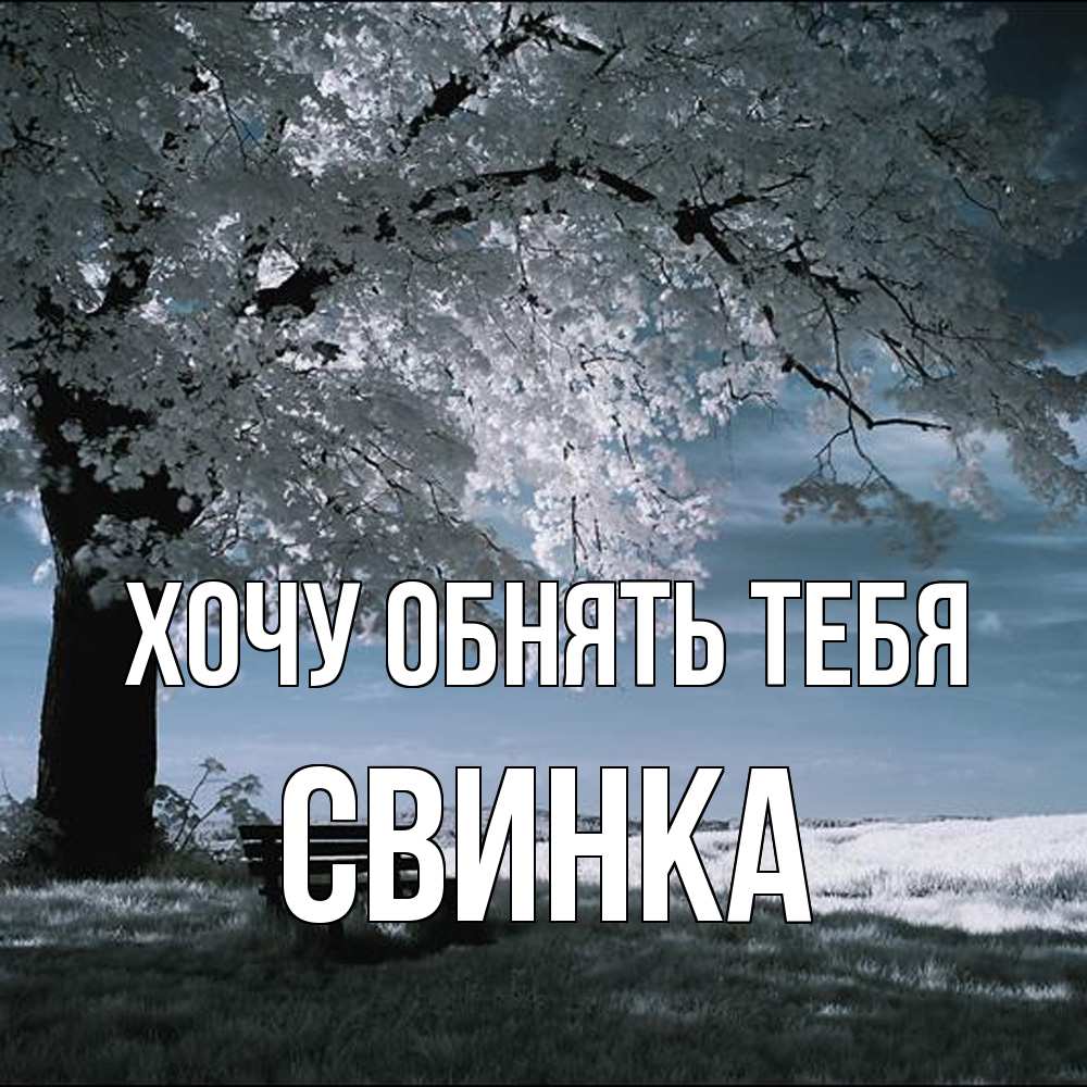 Открытка на каждый день с именем, Свинка Хочу обнять тебя дерево Прикольная открытка с пожеланием онлайн скачать бесплатно 