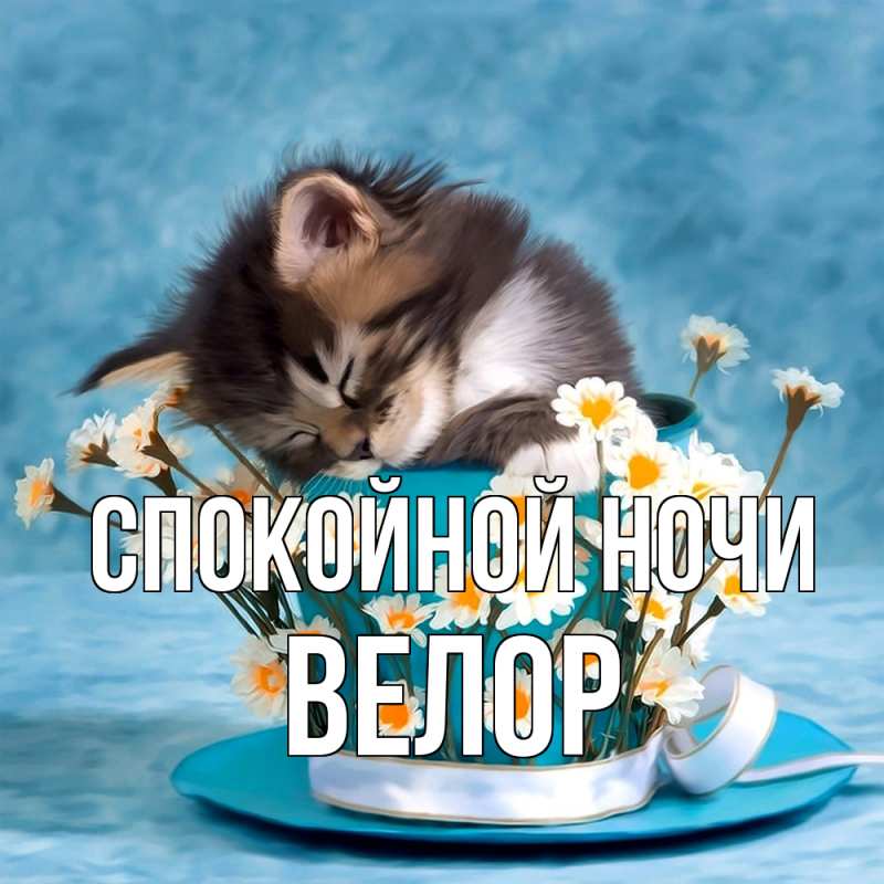 Картинка Спокойной ночи, Велор