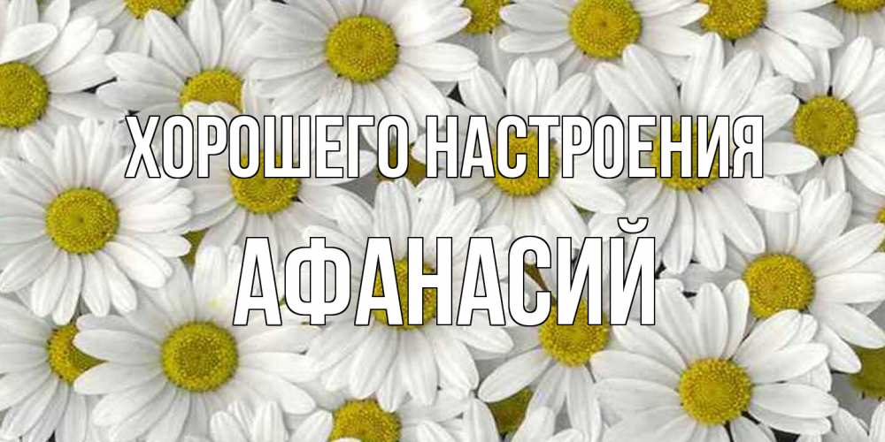 Открытка на каждый день с именем, Афанасий Хорошего настроения поляна ромашек Прикольная открытка с пожеланием онлайн скачать бесплатно 