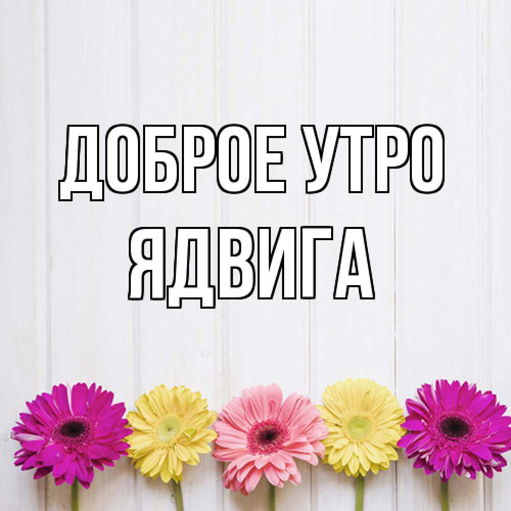 Открытка на каждый день с именем, Ядвига Доброе утро красный желтый и розовый цветок Прикольная открытка с пожеланием онлайн скачать бесплатно 