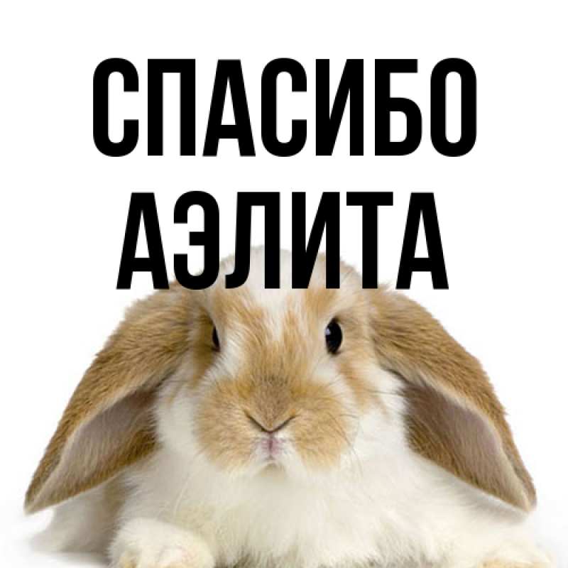Картинка Спасибо, Аэлита