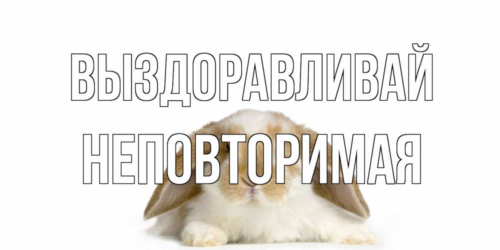 Открытка на каждый день с именем, Неповторимая Выздоравливай вислоухий кролик белого и коричневого цвета Прикольная открытка с пожеланием онлайн скачать бесплатно 