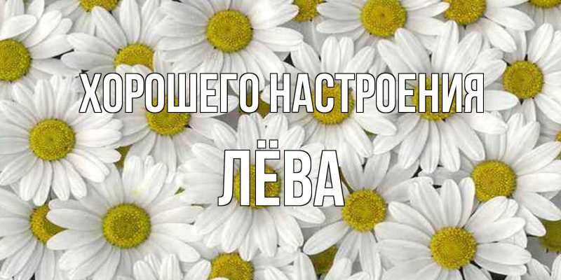 Картинка Хорошего настроения, Лёва