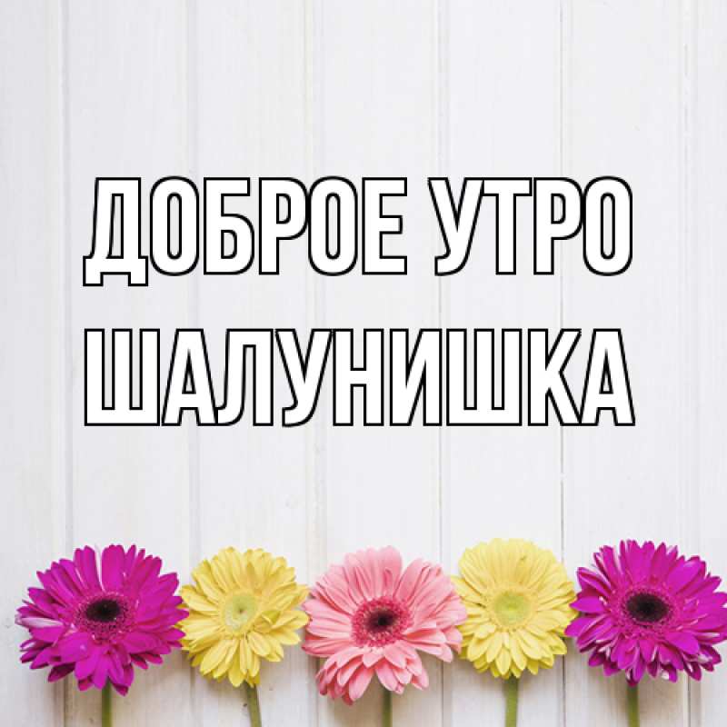 Картинка Доброе утро, шалунишка