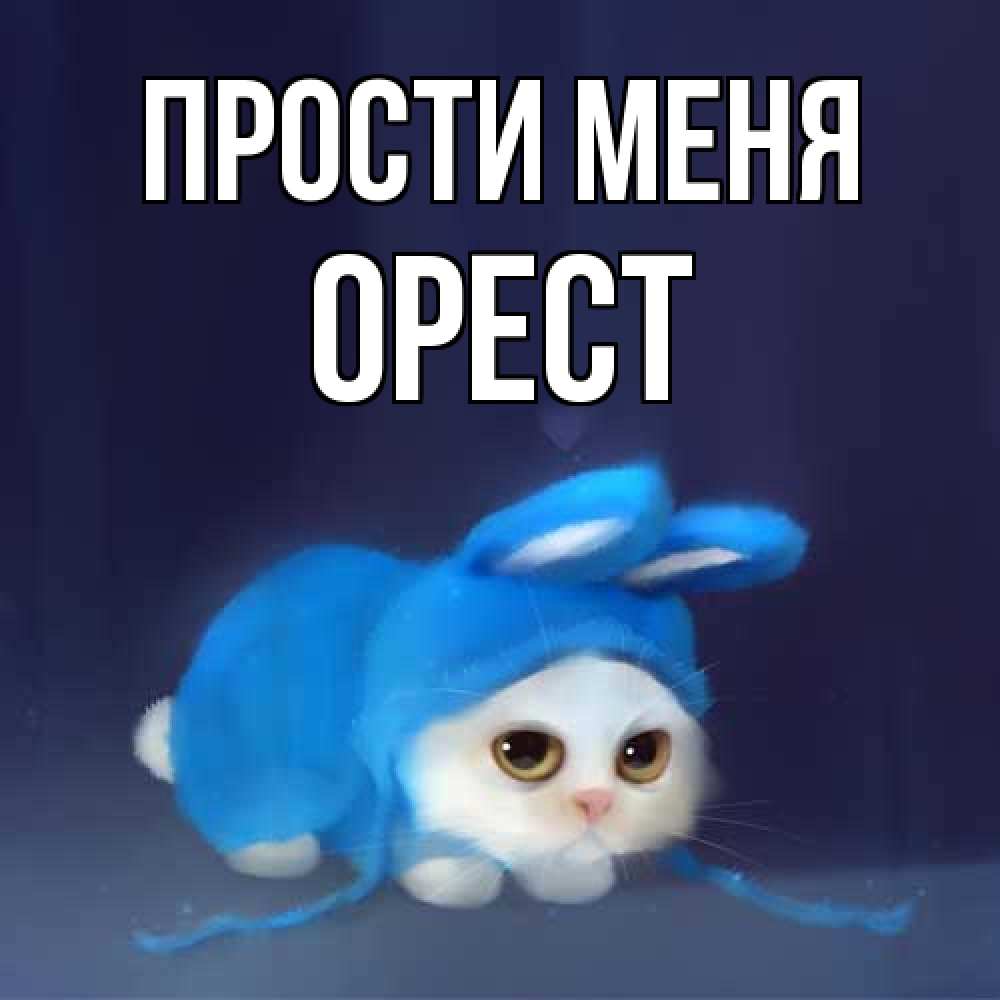 Открытка на каждый день с именем, Орест Прости меня невинный котозай просит прощения Прикольная открытка с пожеланием онлайн скачать бесплатно 