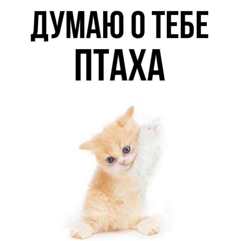 Картинка Думаю о тебе, Птаха