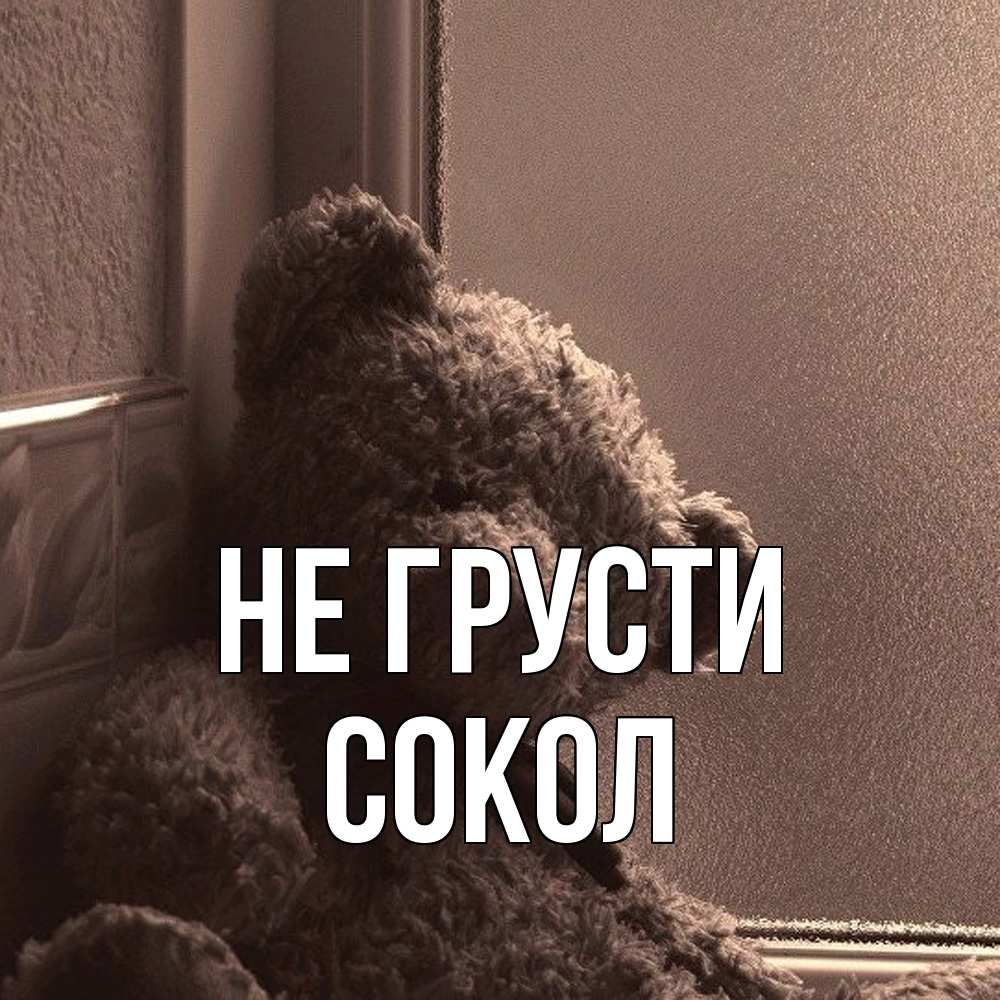 Открытка на каждый день с именем, Сокол Не грусти стекол рефленое Прикольная открытка с пожеланием онлайн скачать бесплатно 