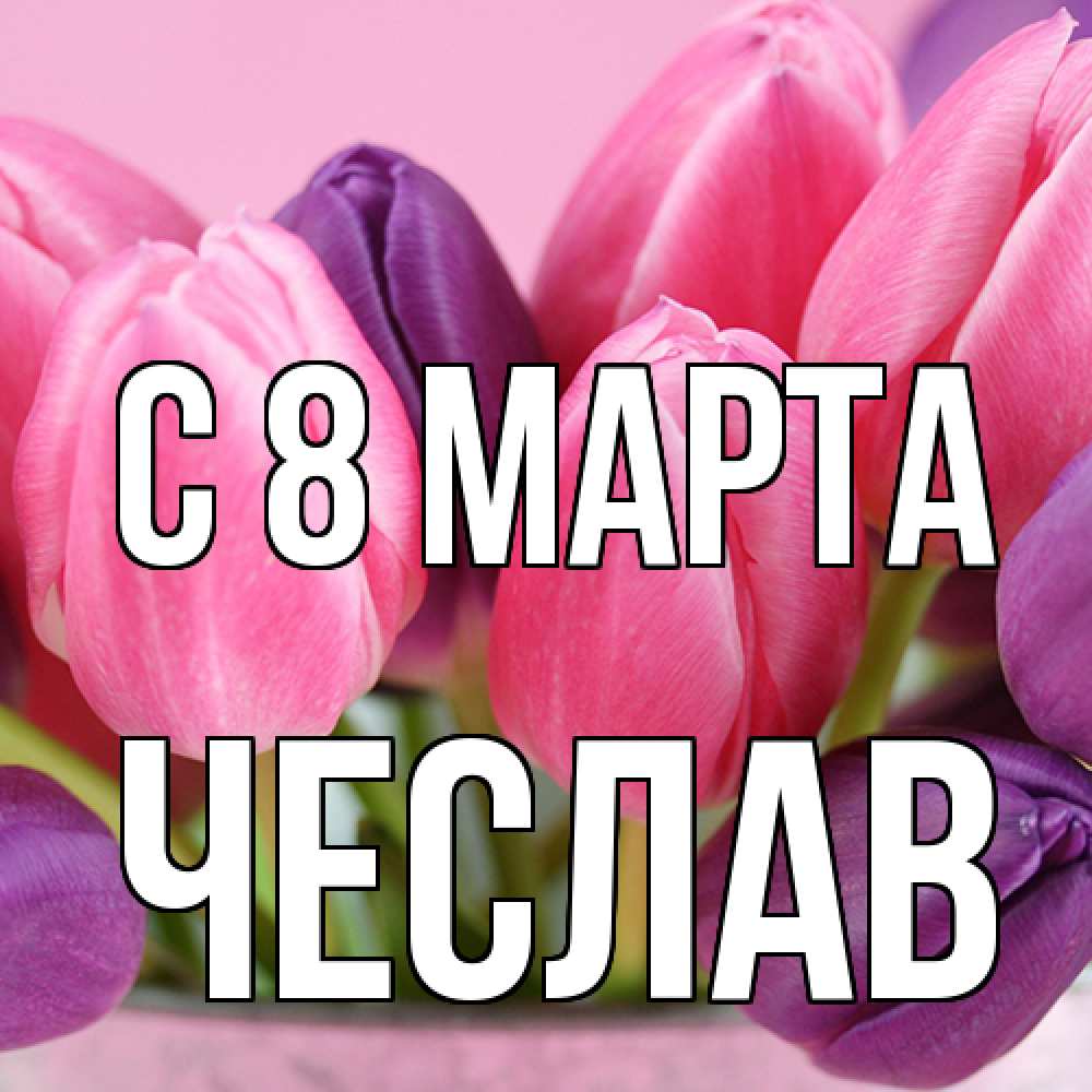 Открытка на каждый день с именем, Чеслав C 8 МАРТА маме 1 Прикольная открытка с пожеланием онлайн скачать бесплатно 