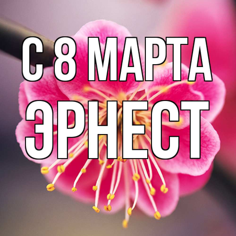 Открытка на каждый день с именем, Эрнест C 8 МАРТА цветы Прикольная открытка с пожеланием онлайн скачать бесплатно 