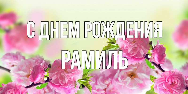 Картинка С днем рождения, Рамиль