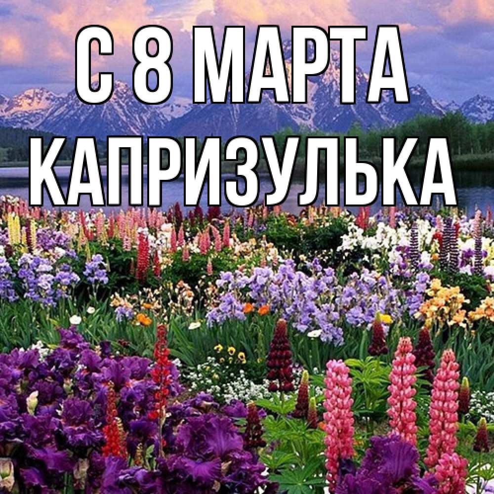 Открытка на каждый день с именем, капризулька C 8 МАРТА международный женский день Прикольная открытка с пожеланием онлайн скачать бесплатно 
