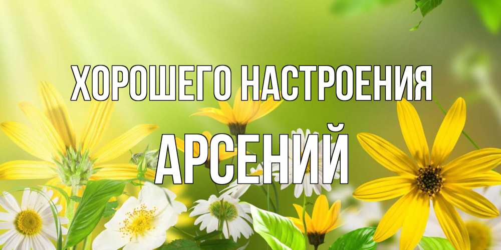Открытка на каждый день с именем, Арсений Хорошего настроения цветы Прикольная открытка с пожеланием онлайн скачать бесплатно 