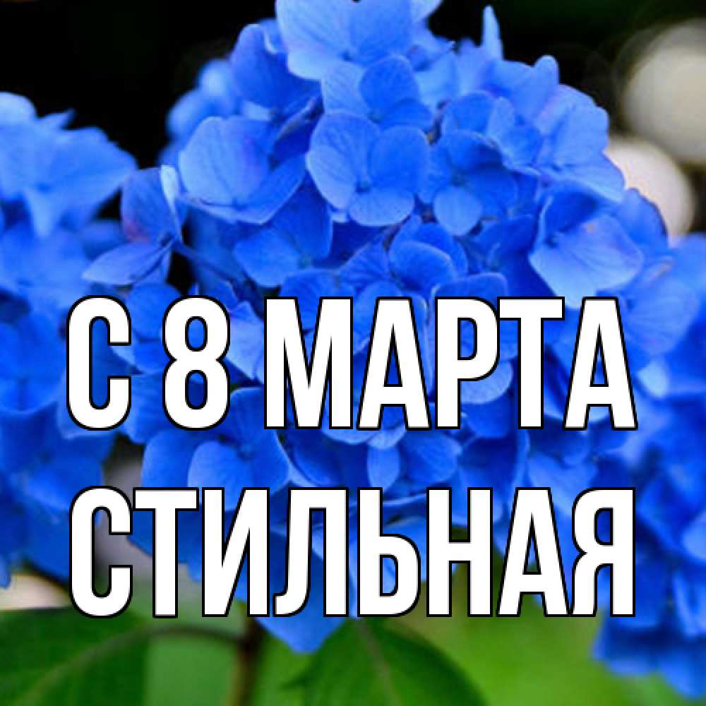 Открытка на каждый день с именем, Стильная C 8 МАРТА синие цветы Прикольная открытка с пожеланием онлайн скачать бесплатно 