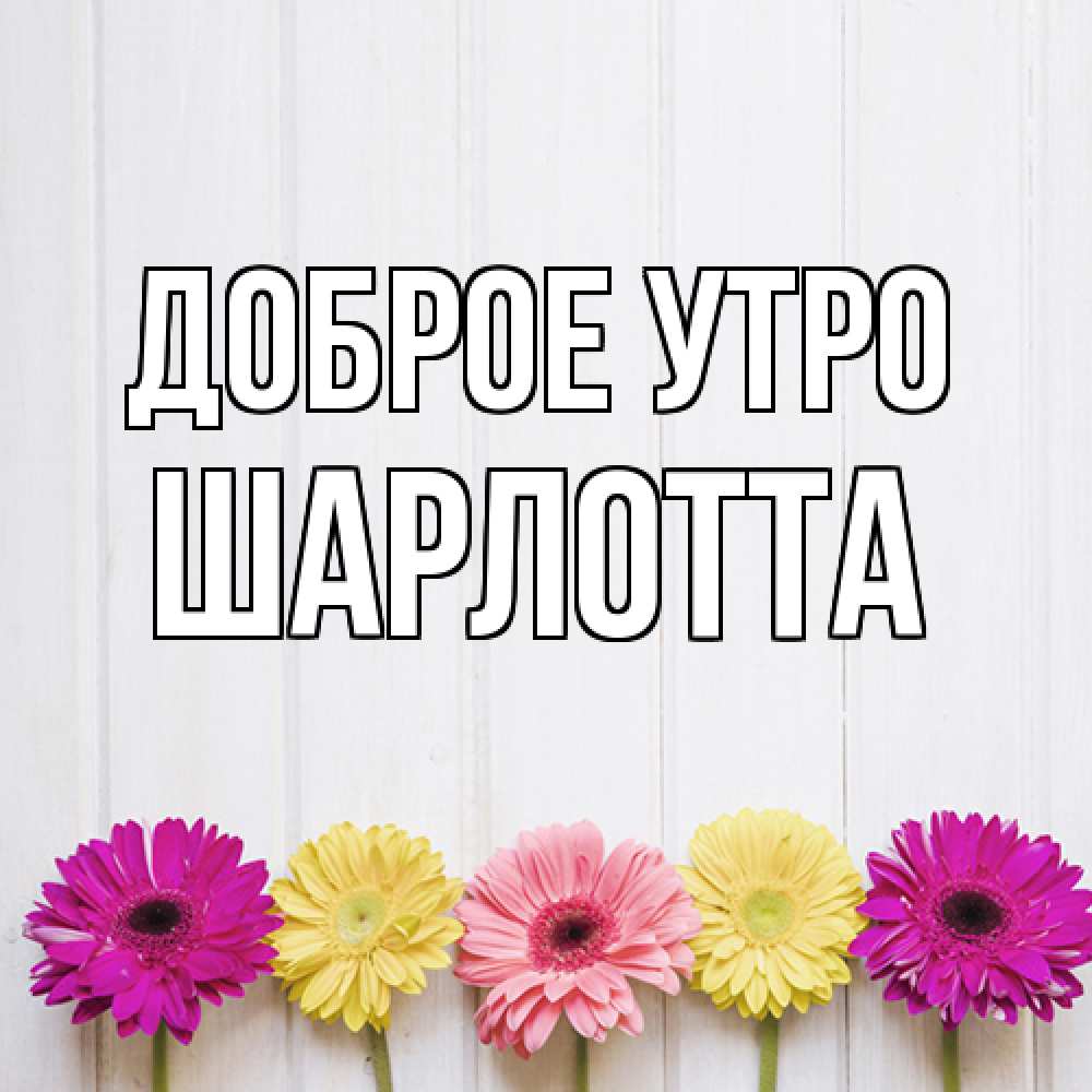 Открытка на каждый день с именем, Шарлотта Доброе утро красный желтый и розовый цветок Прикольная открытка с пожеланием онлайн скачать бесплатно 